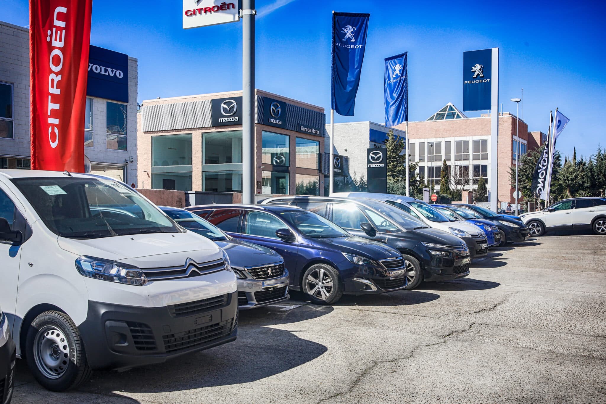 Varios coches en un concesionario de ocasión.