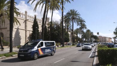 La Policía detiene a una mujer en Palma por pegar, insultar y menospreciar a sus hijos