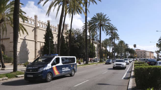 La Policía detiene a una mujer en Palma por pegar, insultar y menospreciar a sus hijos Un furgón de la Policía Nacional durante una marcha motorizada en Palma