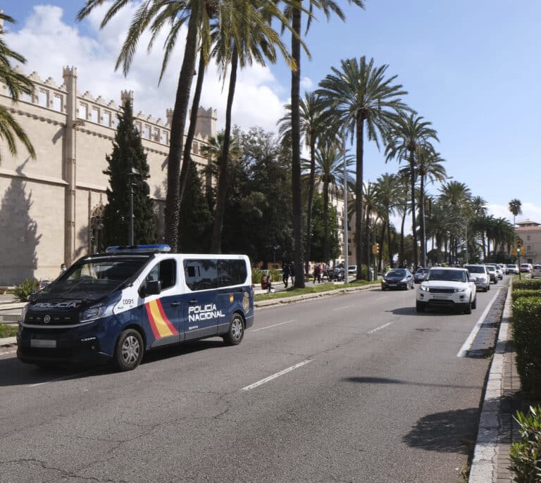 La Policía detiene a una mujer en Palma por pegar, insultar y menospreciar a sus hijos