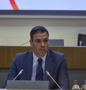Pedro Sánchez, qué lindo gatito