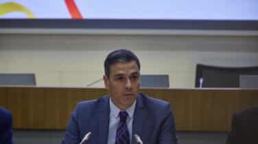 Pedro Sánchez, qué lindo gatito