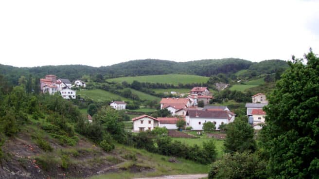 Evacuan en helicóptero a una norteamericana en el Camino de Santiago por la mordedura de una víbora Lintzoáin