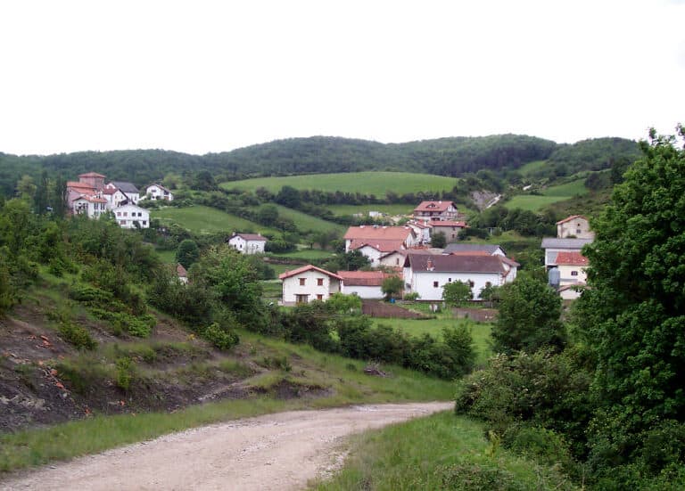 Evacuan en helicóptero a una norteamericana en el Camino de Santiago por la mordedura de una víbora