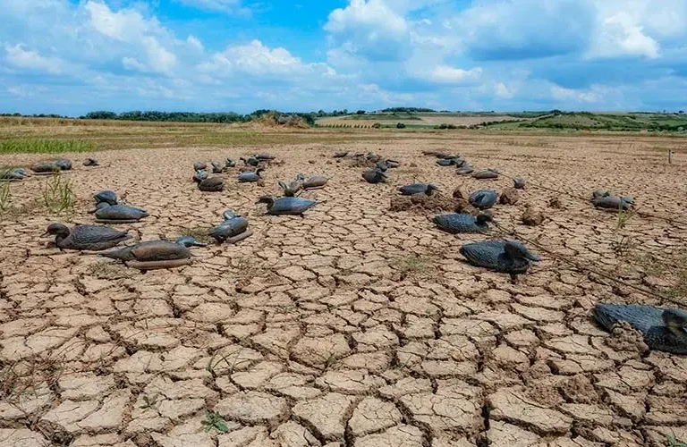 Arabia Saudí, África y Latinoamérica se unen para luchar contra la desertificación