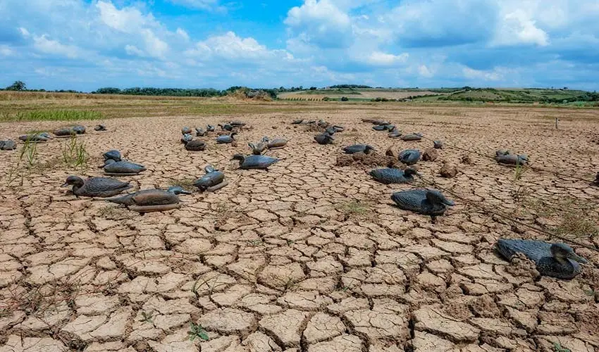 Desertificación