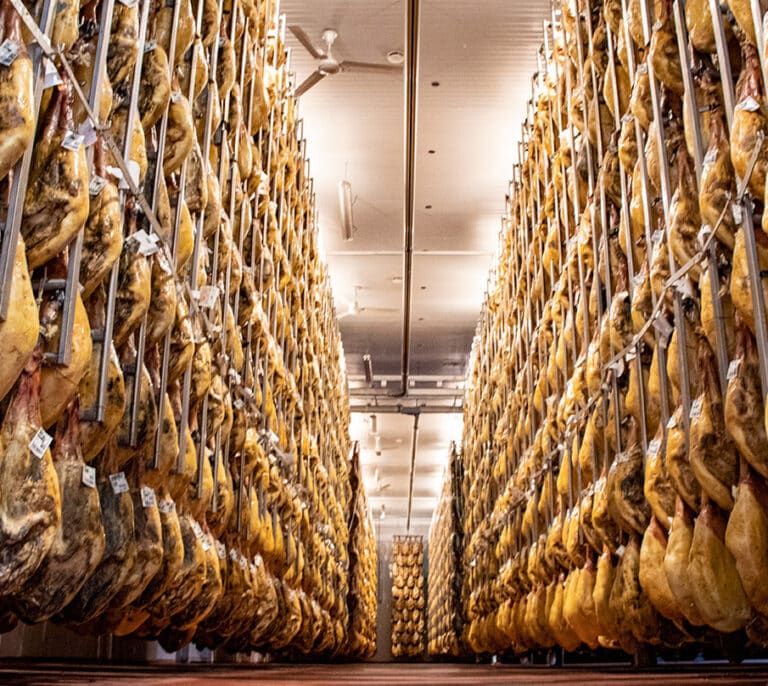 El jamón ibérico ya tiene campus:  “Lo tenemos un poco abandonado”