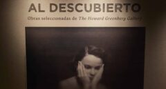 Howard Greenberg: “Me resulta difícil decir que no a comprar una fotografía"