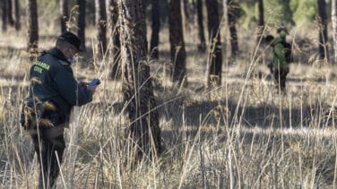 Búsqueda Isabel del Castillo: una aplicación, una pista y 250 personas tras ella