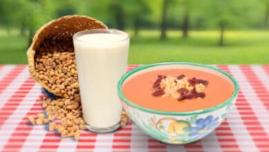 De la horchata al salmorejo, la ciencia busca alimentos para cuidar la microbiota