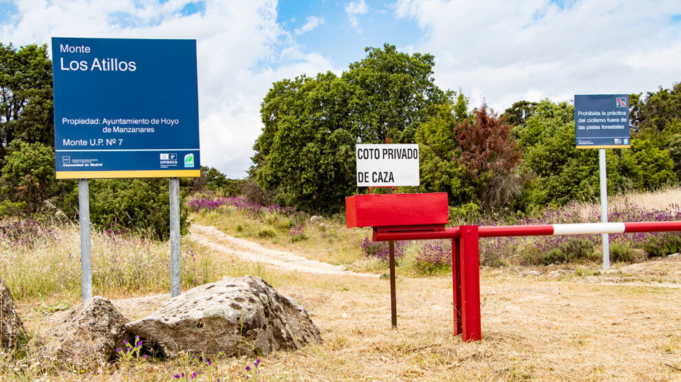 Finca Los Atillos, donde estaba prevista levantar el centro.