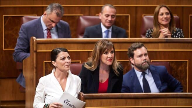 Macarena Olona, en un pleno de control al Gobierno. Macarena Olona, en un pleno de control al Gobierno.