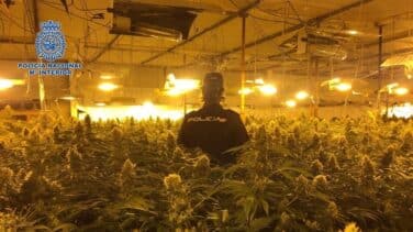Electricistas encapuchados y escoltados, así luchan contra el robo de energía en miles de pisos que producen marihuana