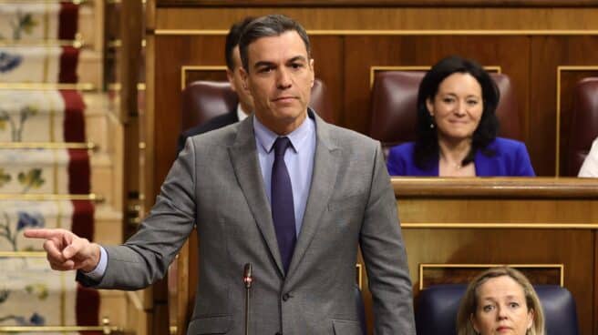 El presidente del Gobierno, Pedro Sánchez, interviene en una sesión de control, en el Congreso de los Diputados.