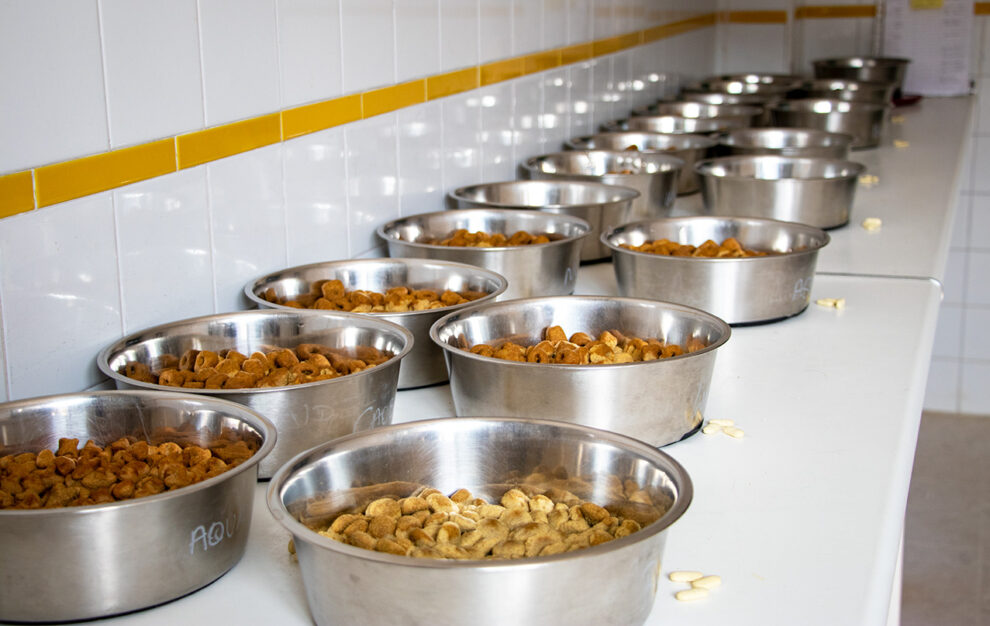 La sala donde se preparan las comidas de los perros en la Fundación Once