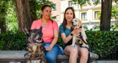 De cachorro a jubilado: la vida de compromisos del perro guía de la ONCE
