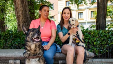 De cachorro a jubilado: la vida de compromisos del perro guía de la ONCE
