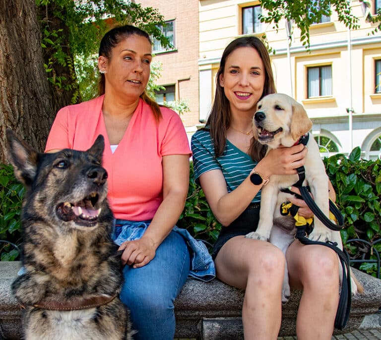 De cachorro a jubilado: la vida de compromisos del perro guía de la ONCE