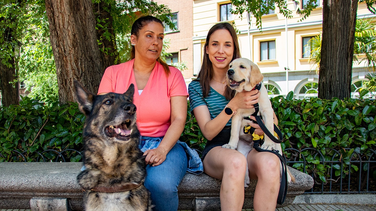 Gloria, invidente, junto a su pastora alemana guía Xaky, y Natalia, que ha adoptado durante un año al labrador Goofy