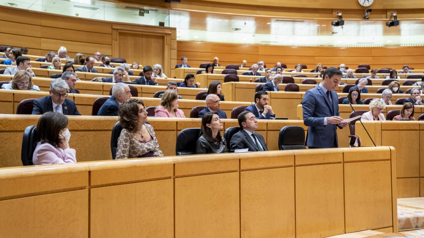 Pedro Sánchez interviene en el Senado durante una sesión de control al Gobierno.