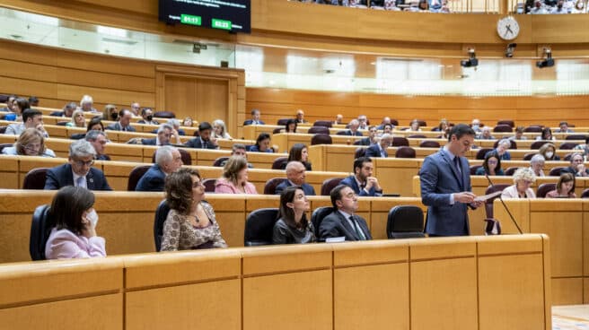 Pedro Sánchez interviene en el Senado durante una sesión de control al Gobierno.