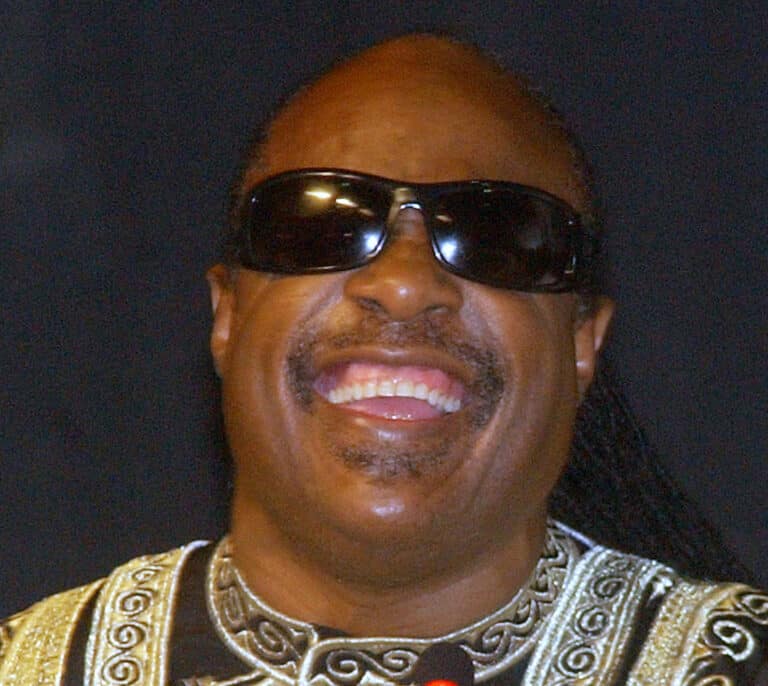 Stevie Wonder, la sonrisa que apunta al cielo