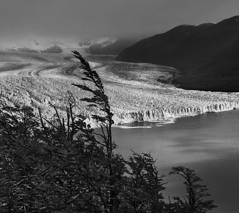 La naturaleza sin huella humana de Sebastião Salgado en el Palacio Real