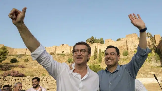 El programa del PP para Andalucía y las propuestas de Vox y PSOE para mermar su triunfo