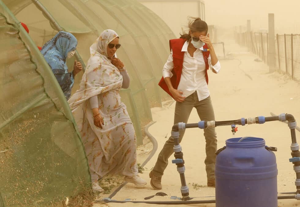 La reina Letizia se protege de la tormenta de arena en Mauritania.