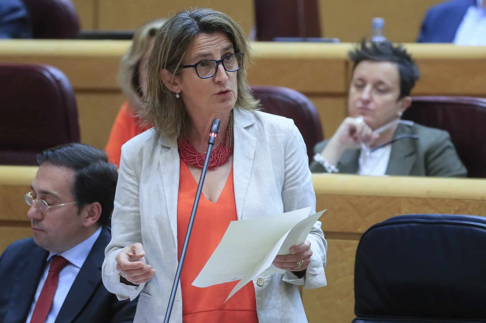 La vicepresidenta tercera y ministra para la Transición Ecológica y el Reto Demográfico Teresa Ribera.