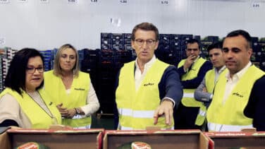 Feijóo acusa a Sánchez de convertir "en bienes de lujo" la luz, el gas y los carburantes