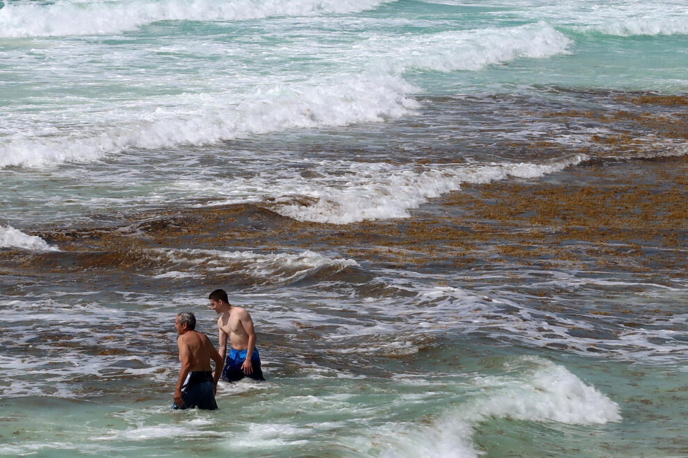 Vista hoy de sargazo en las playas del balneario de Cancún, en Quintana Roo (México). 