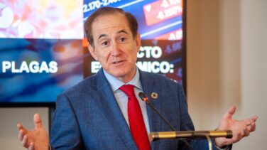 Mapfre revisará su presencia geográfica: se queda en Turquía y se marcha de Argelia