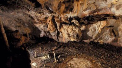 Hallan dos depósitos sepulcrales visigodos en la cueva de La Garma, en Cantabria