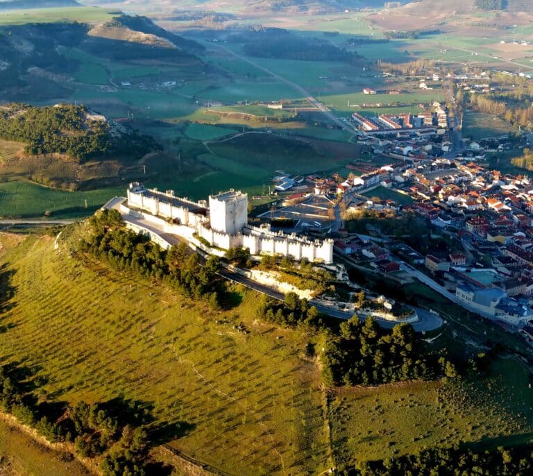 DO Ribera del Duero, 40 años de cultura e historia en la fiesta vívida del vino