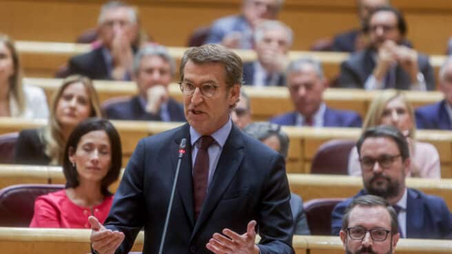 El líder del PP, Alberto Núñez Feijóo, interviene en una sesión plenaria en el Senado, a 7 de junio de 2022.