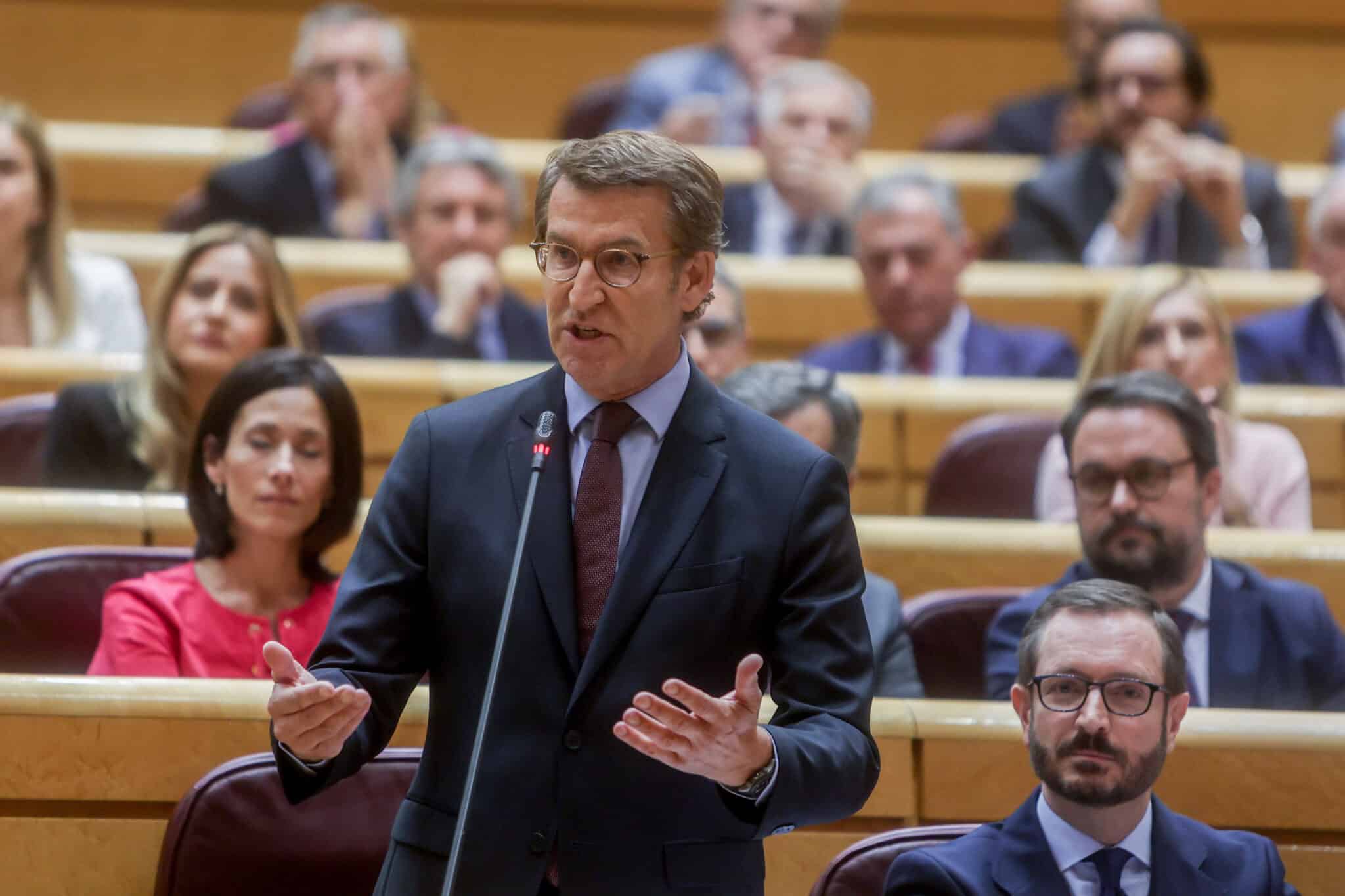 El líder del PP, Alberto Núñez Feijóo, interviene en una sesión plenaria en el Senado, a 7 de junio de 2022.