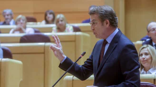 El líder del PP, Alberto Núñez Feijóo, durante su pregunta a Pedro Sánchez en la sesión de control al Gobierno. El líder del PP, Alberto Núñez Feijóo, durante su pregunta a Pedro Sánchez en la sesión de control al Gobierno.