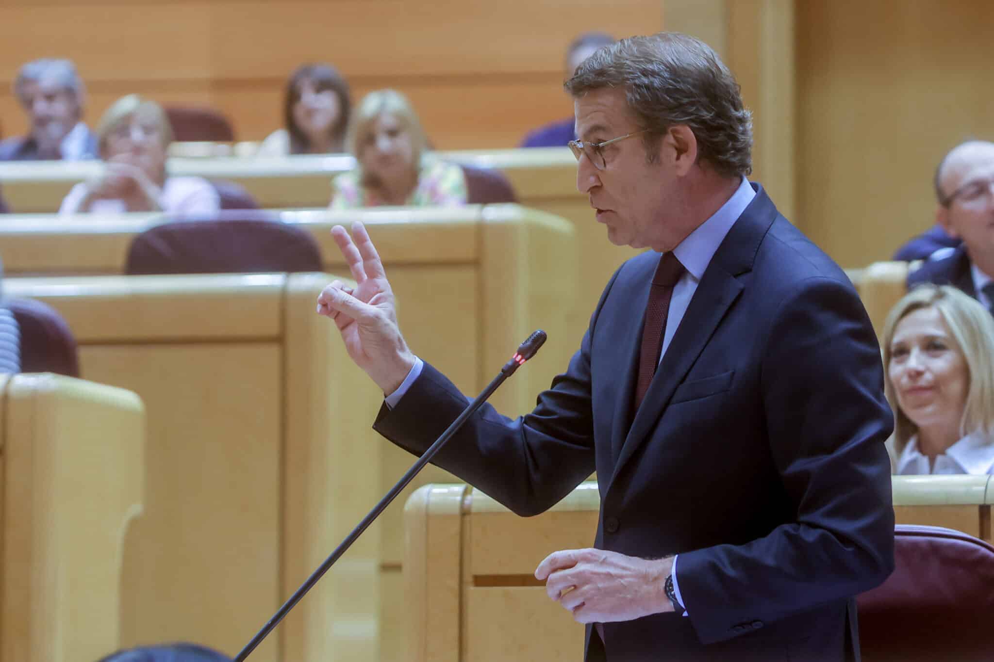 El líder del PP, Alberto Núñez Feijóo, durante su pregunta a Pedro Sánchez en la sesión de control al Gobierno.