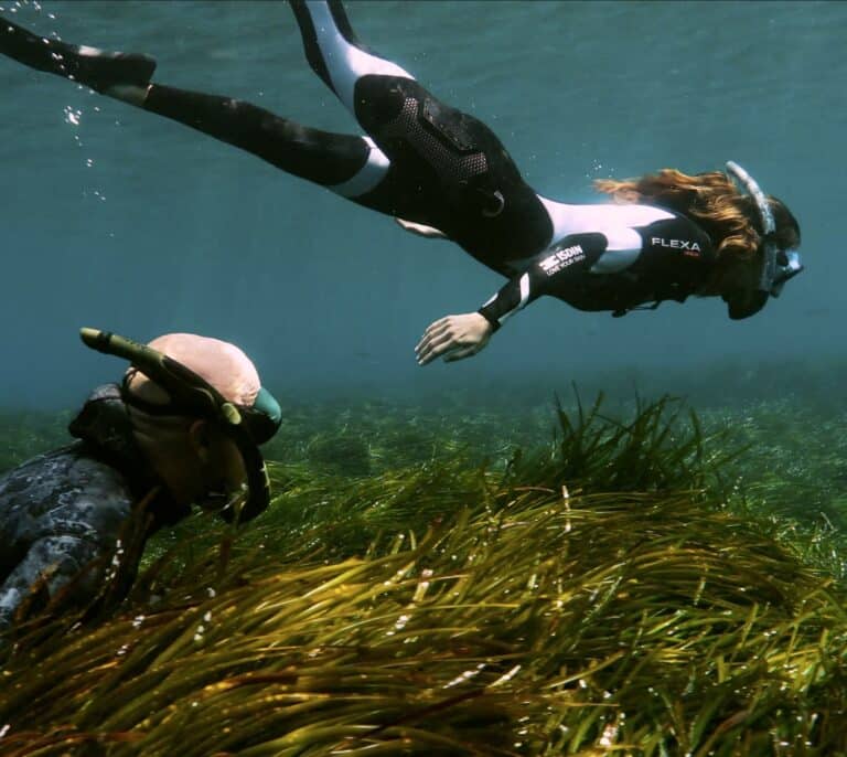 El gran reto de ISDIN y la Asociación Vellmarí: recuperar el ecosistema del Mediterráneo