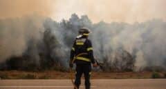 Renfe corta el AVE Madrid-Galicia por la cercanía de las vías al incendio de Zamora