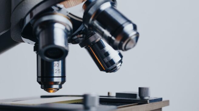 KeyZell, la biotecnológica que apuesta por los criptoactivos en la Inteligencia Artificial para la lucha contra el cáncer Bioquímica