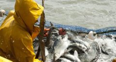 El fin del acuerdo pesquero alienta los contactos entre Marruecos y la UE pero el Polisario alerta: “Es mantener la piratería”