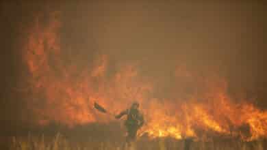 El fuego deja un segundo fallecido, un hombre de 69 años, en Ferreruela (Zamora)