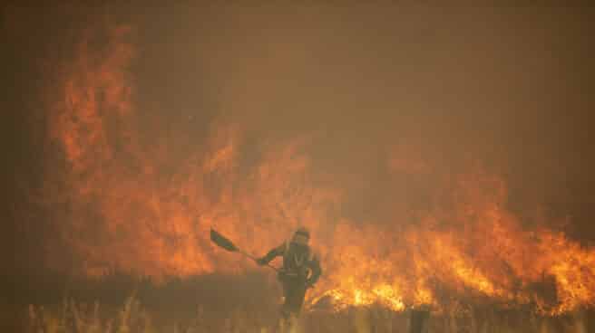 Un bombero lucha contra las llamas durante el brutal incendio de la Sierra de la Culebra en Zamora.