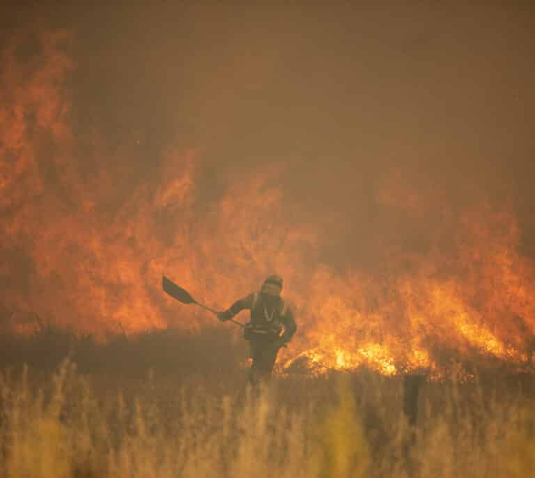 El fuego deja un segundo fallecido, un hombre de 69 años, en Ferreruela (Zamora)