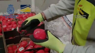 Cae el 'Cártel del Sur' en Algeciras: agentes corrompidos, tomates de hachís y toneladas de cocaína