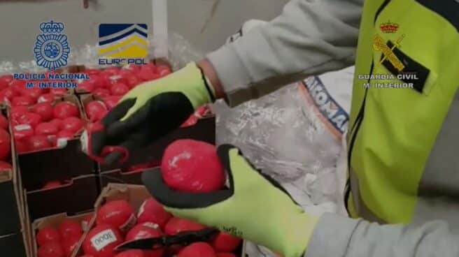 Un agente manipula los falsos tomates rellenes de hachís Un agente manipula los falsos tomates rellenes de hachís