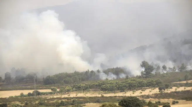 El incendio de Zamora obliga al desalojo de 14 pueblos y arrasa ya 20.000 hectáreas