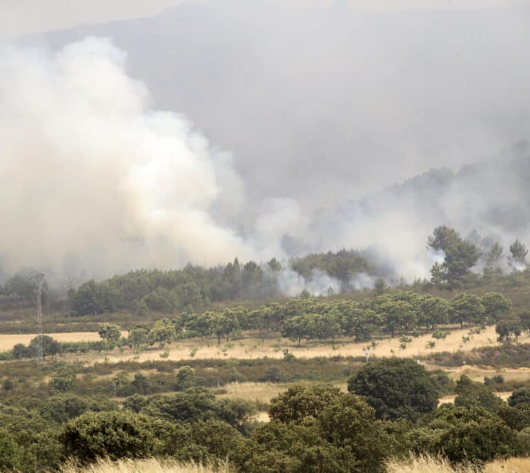 El incendio de Zamora obliga al desalojo de 14 pueblos y arrasa ya 20.000 hectáreas